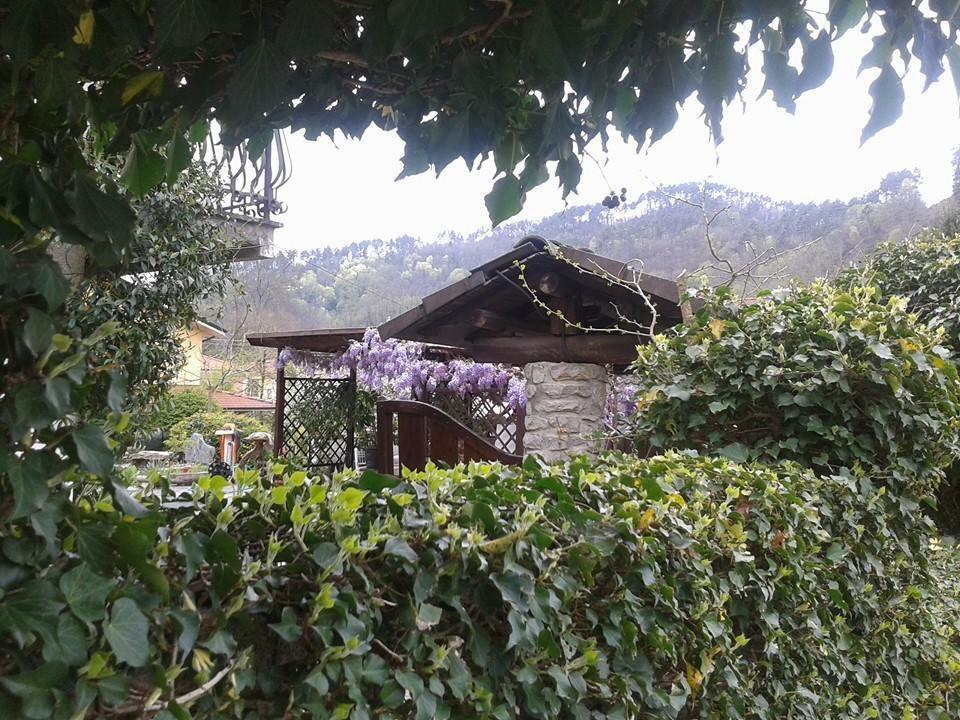 Il Ghiro