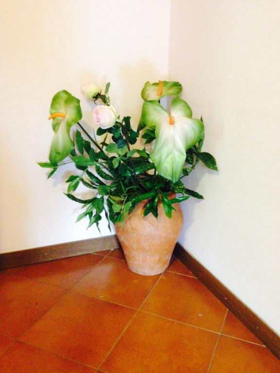 Il Ghiro Bed & Breakfast