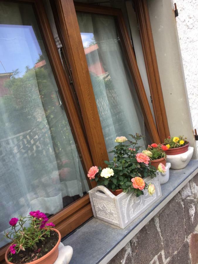 Il Ghiro Bed & Breakfast *